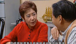 贤妻良母电视剧,演绎家庭和谐的艺术