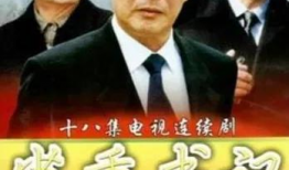 干部 电视剧,揭秘官场风云，展现时代变迁