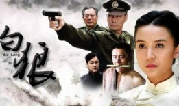 白狼电视剧演员表,实力派演员阵容，演绎传奇故事