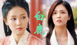 白鹿演过什么电视剧,盘点其主演的电视剧作品