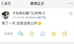 吃瓜永不停歇爆料,揭秘娱乐圈幕后风云