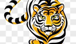 虎动漫,激荡青春，热血沸腾的动漫世界