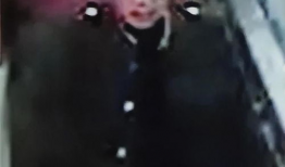 周克华电视剧,传奇杀手背后的真相与命运